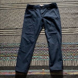 Banana Republic Blue ankle skinny jean